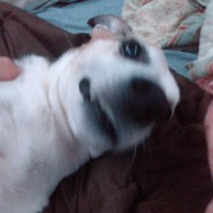 Meet your Posher, Zaid